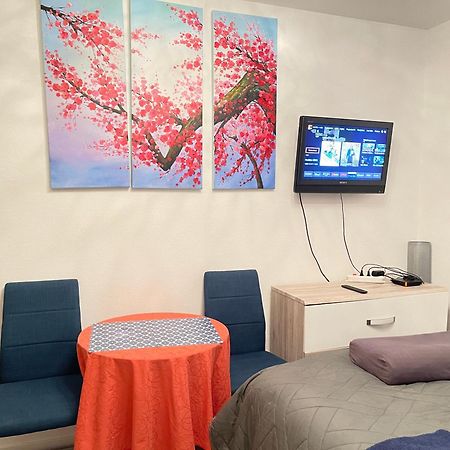 Top Studio Full Optional Saint Louis Vicino Stazione Saint Louis 68300 France Екстериор снимка