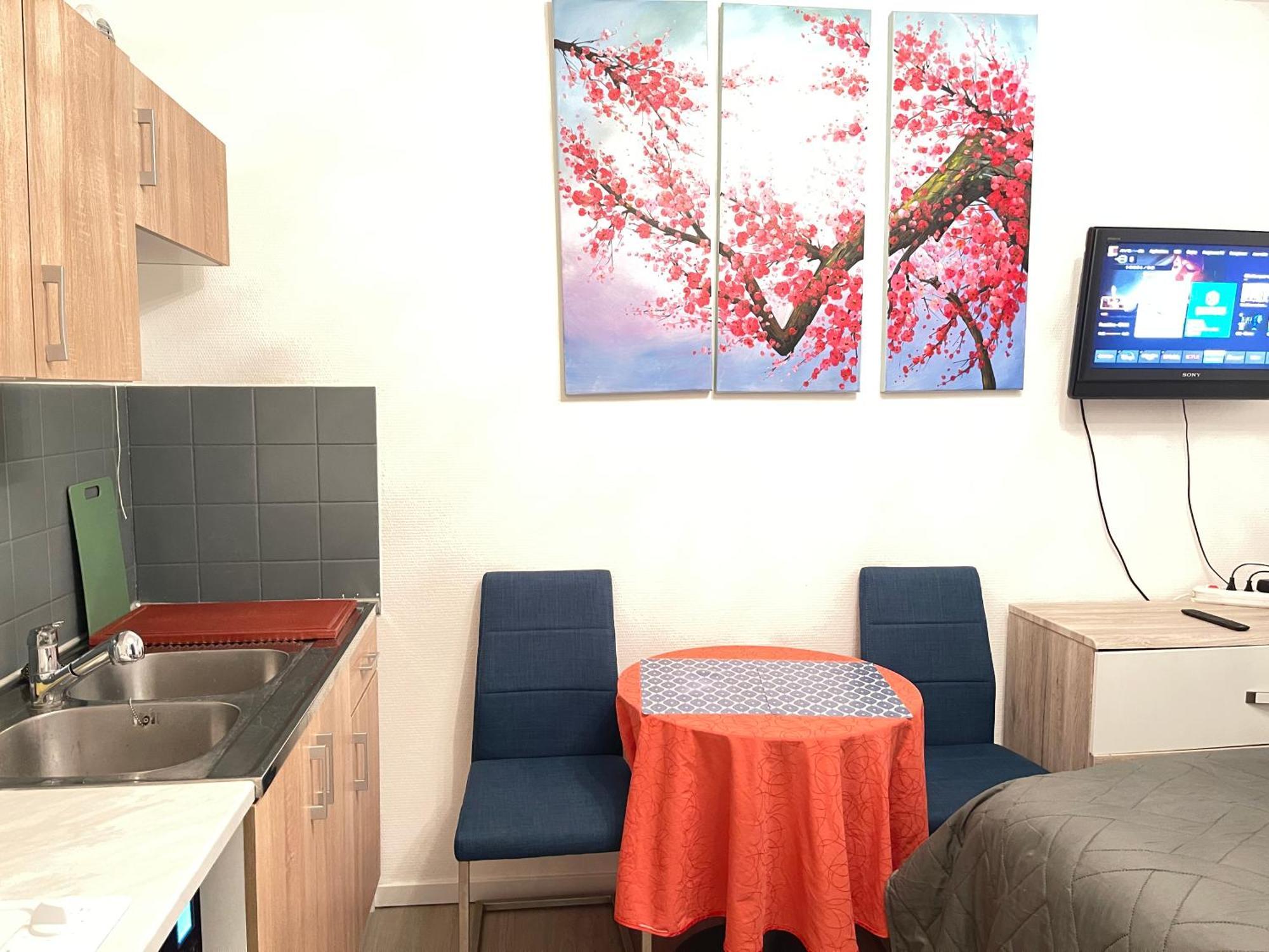 Top Studio Full Optional Saint Louis Vicino Stazione Saint Louis 68300 France Екстериор снимка