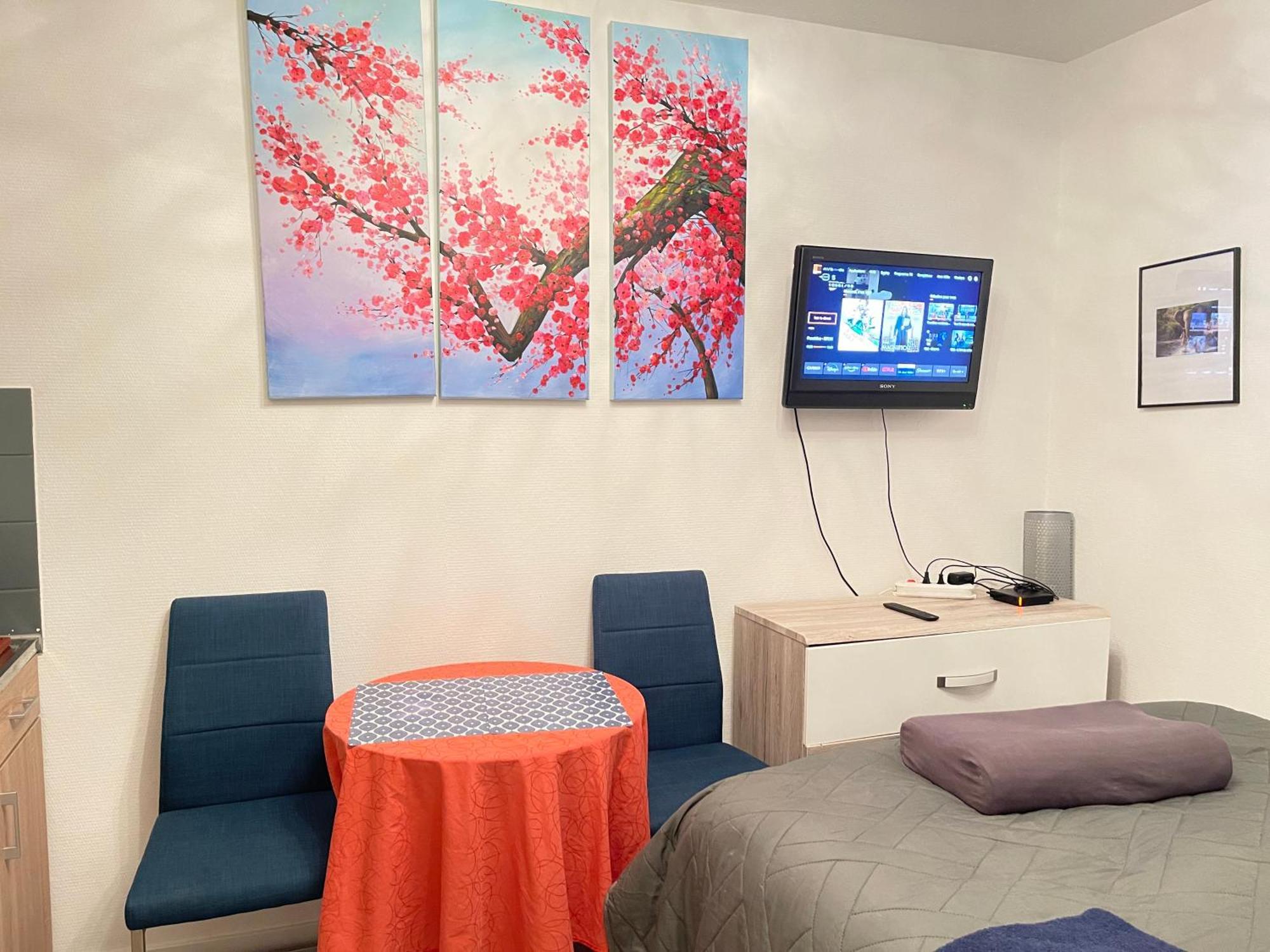 Top Studio Full Optional Saint Louis Vicino Stazione Saint Louis 68300 France Екстериор снимка