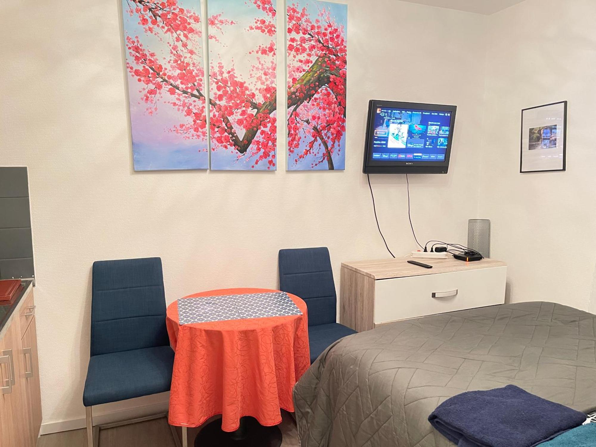 Top Studio Full Optional Saint Louis Vicino Stazione Saint Louis 68300 France Екстериор снимка